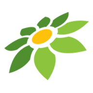KOISLOT